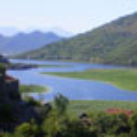 Thai Bistro and Sushi